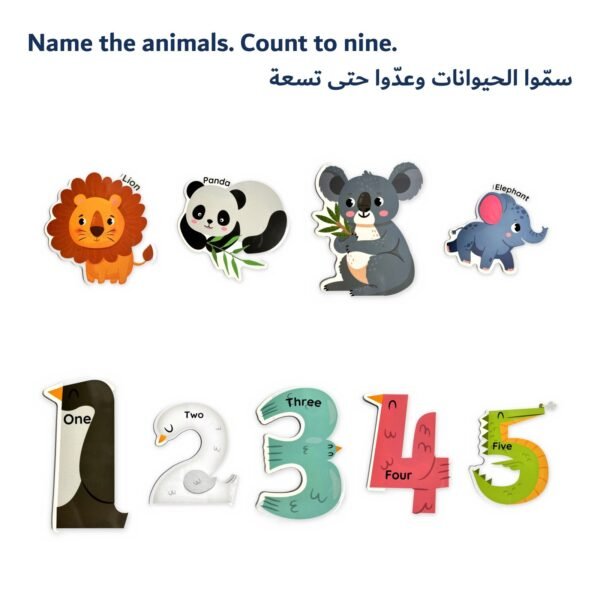 Animal & Number Magnets: how to play
