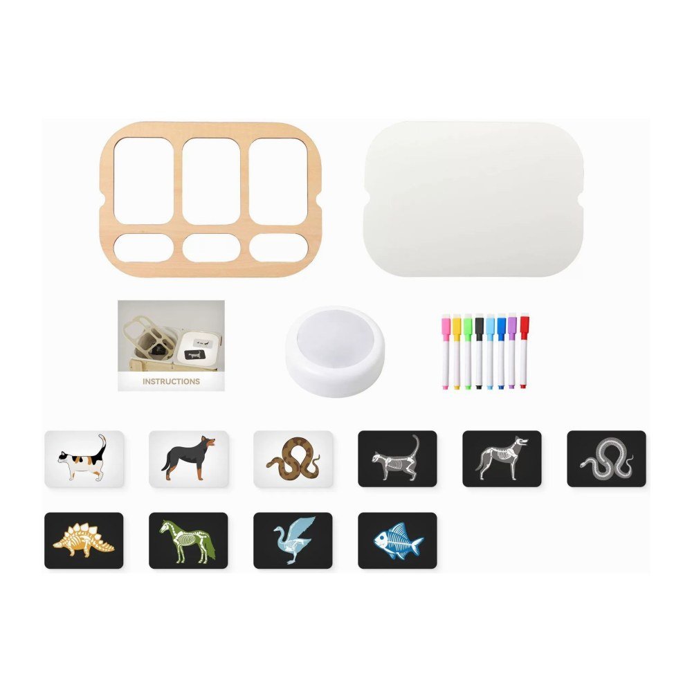 The Light Board & Picture Cards on a white background