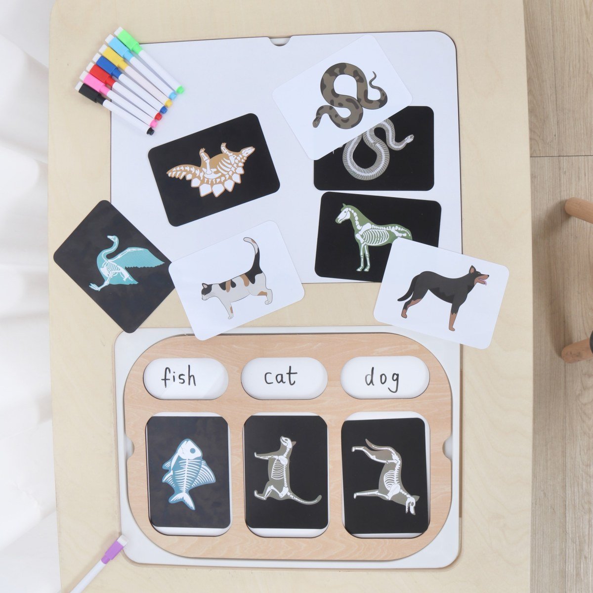 The Light Board & Picture Cards
