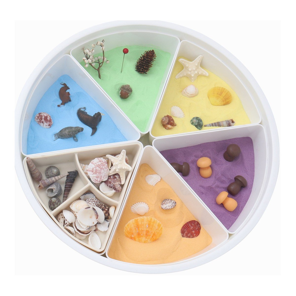 The Round Divided Sensory Tray