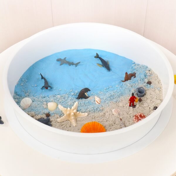 Round Divided Sensory Tray