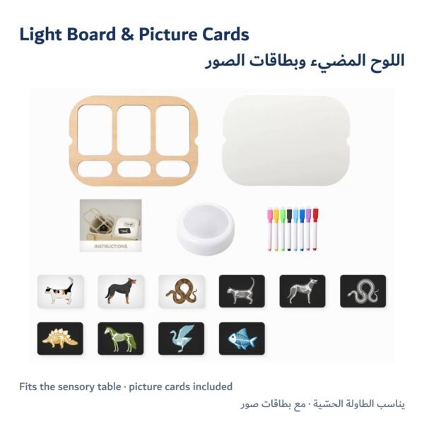 Light Board & Picture Cards Light Board & Picture Cards