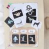 Light Board & Picture Cards Light Board & Picture Cards