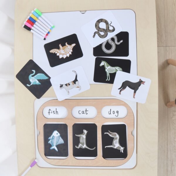 Light Board & Picture Cards Light Board & Picture Cards